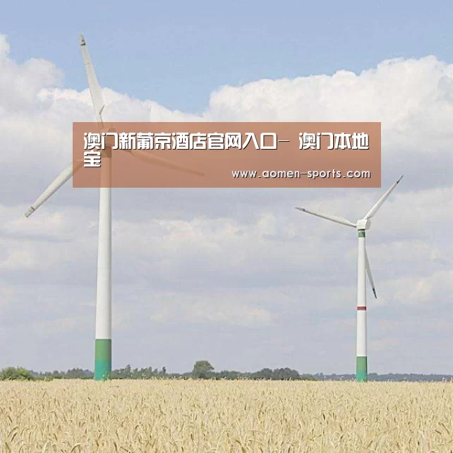 风能